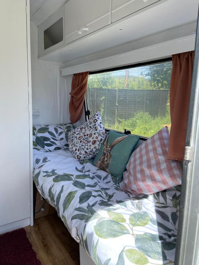 Cosy Caravan At Carrigeen Glamping Hotel Kilkenny Exterior photo